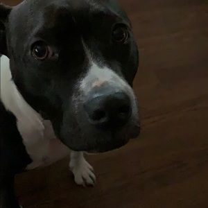 Meet your Posher, Veronica